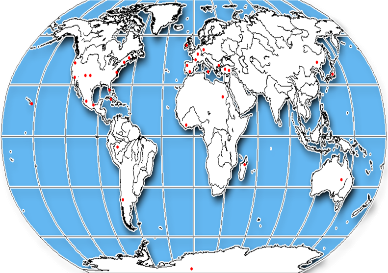 world map one